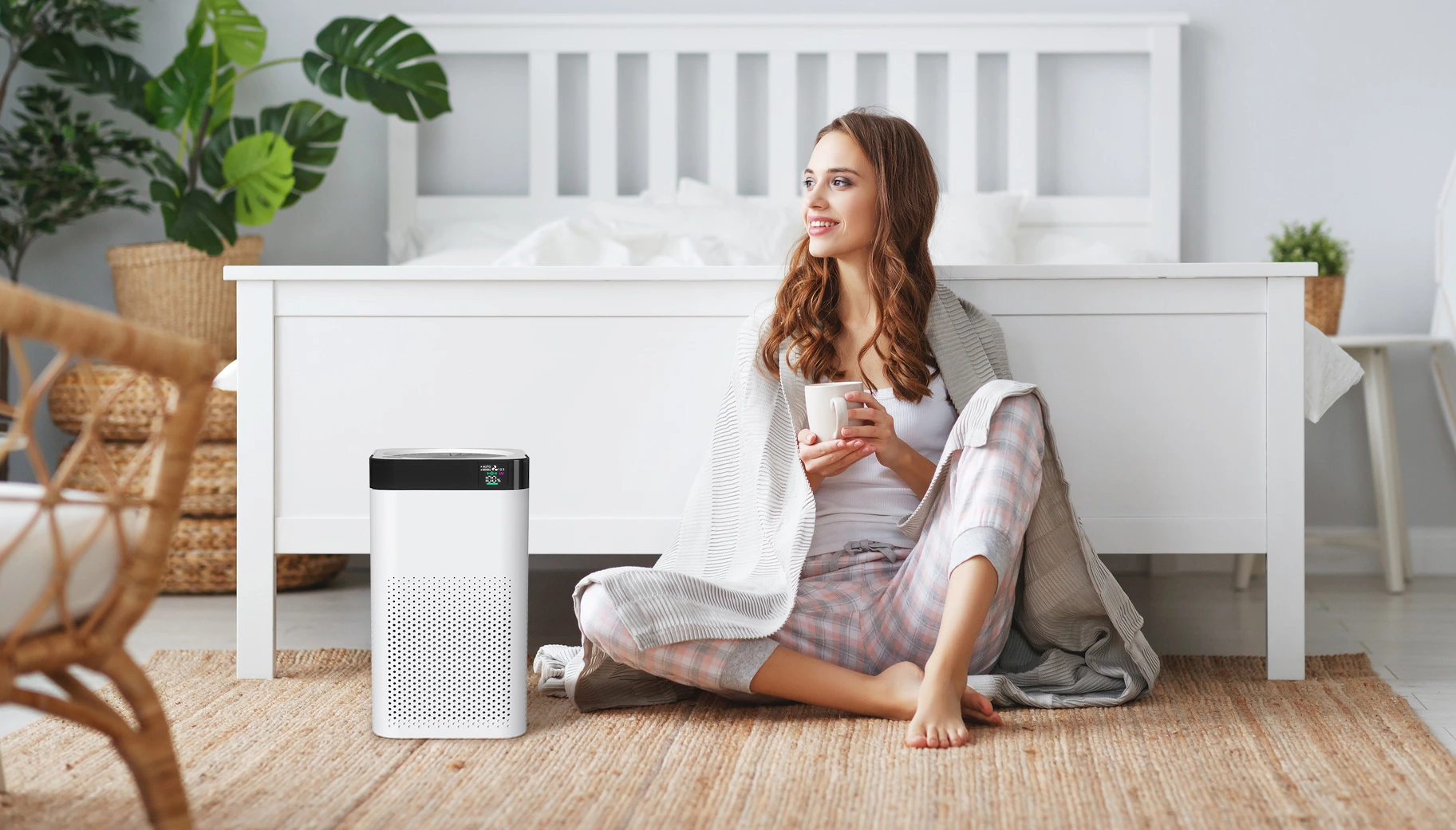 Air purifier india,New designed air purifier with UVC lamp