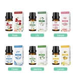 热销精选 10ml 复方精油套装 编号：EO04