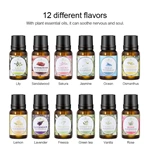 10ml 纯精油 编号：EO13