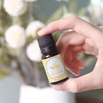 热销精选 10ml 复方精油套装 编号：EO14