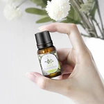 热销精选 10ml 复方精油套装 编号：EO14