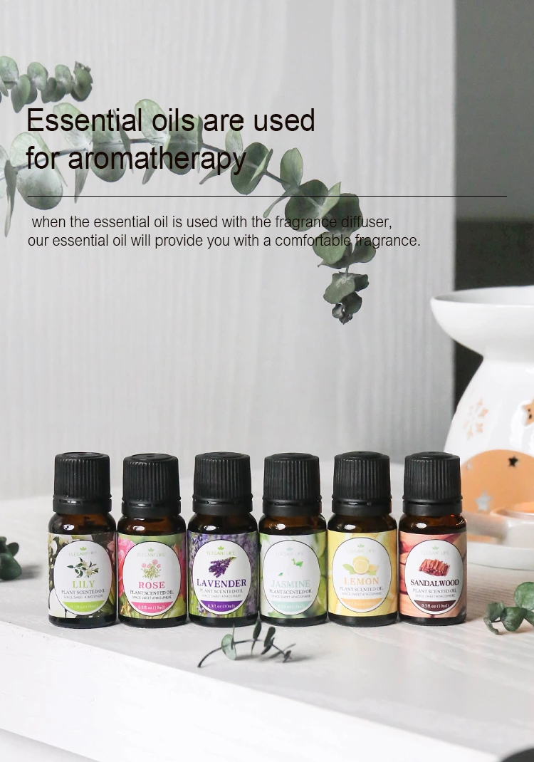 热销精选 10ml 复方精油套装 编号：EO14