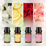 热销精选 10ml 复方精油套装 编号：KEO004