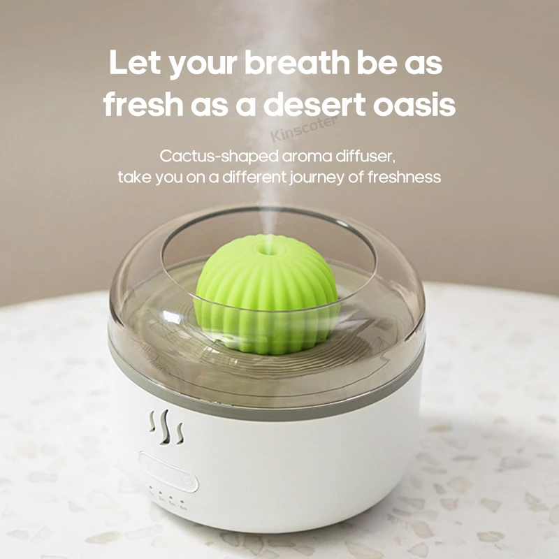 The Cactus Aromatherapy Diffuser: A Creative and Functional Home Essential
